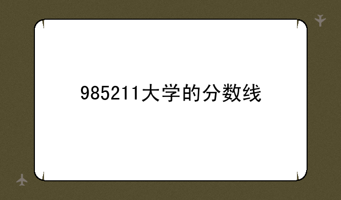 985211大学的分数线