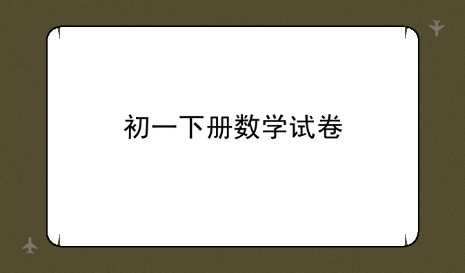 初一下册数学试卷