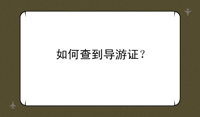 如何查到导游证？