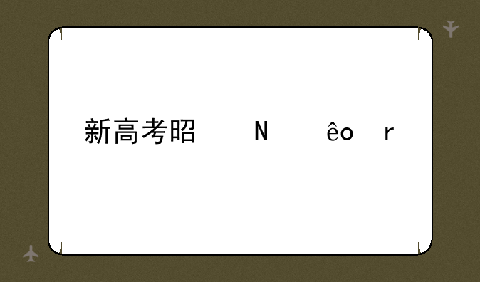 新高考是哪些省份