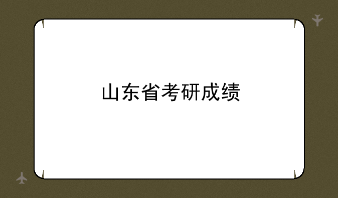 山东省考研成绩