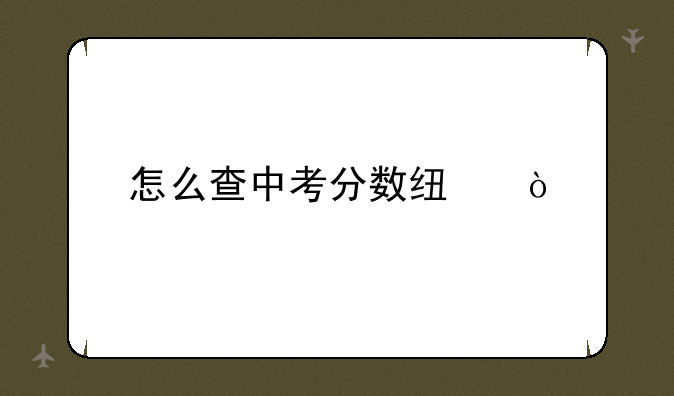怎么查中考分数线？