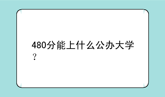 480分能上什么公办大学？