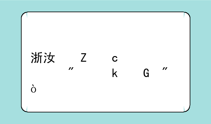浙江新高考总分多少分？