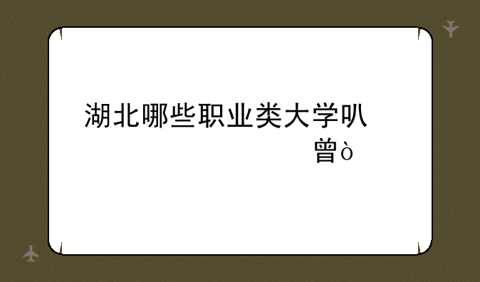 湖北哪些职业类大学可以考3+证书？