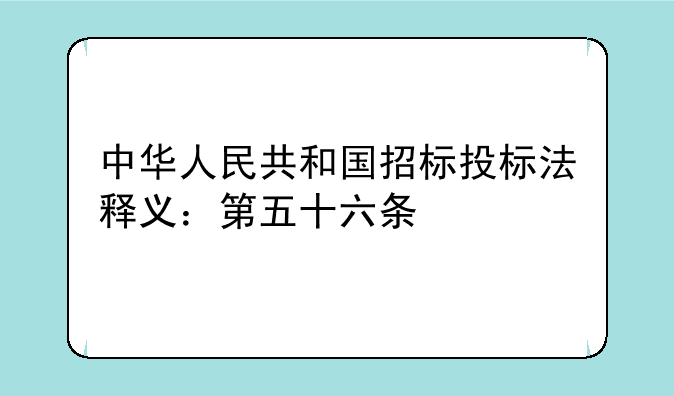中华人民共和国招标投标法释义：第五十六条