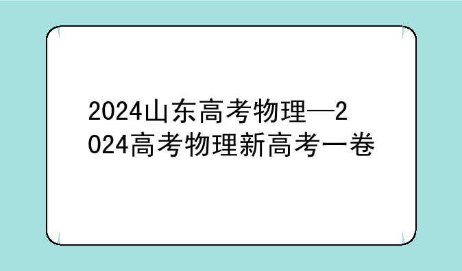 2024山东高考物理—2024高考物理新高考一卷
